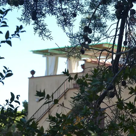 Lägenhet Tuscany Experience